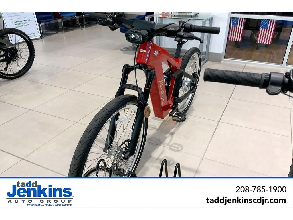 2026 FORD E BIKE MUSTANG Base
